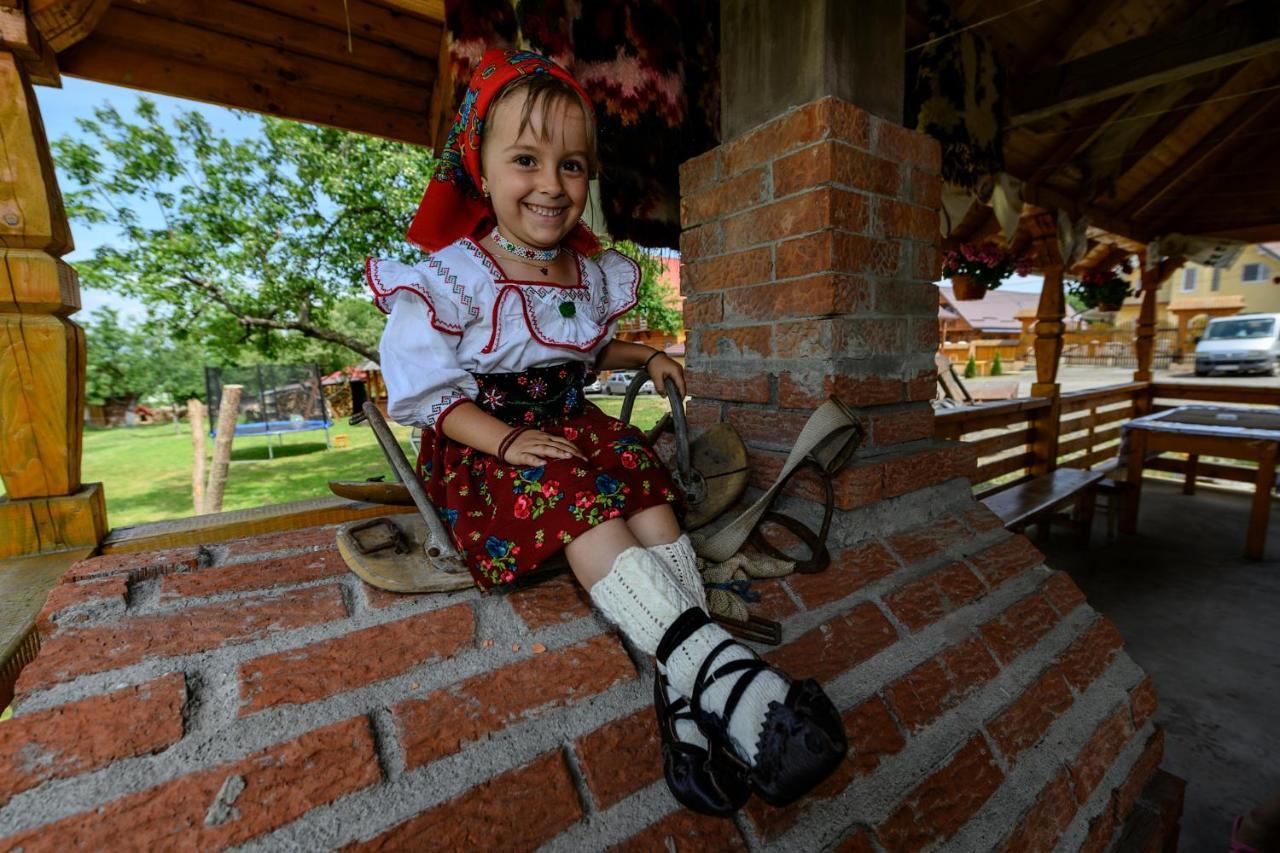 Pensiune Agroturistica "Casa Teodora" Budesti  Luaran gambar