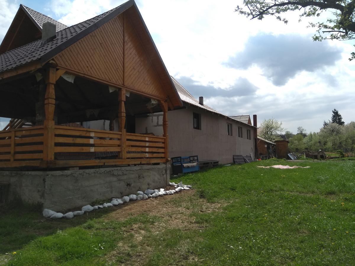 Pensiune Agroturistica "Casa Teodora" Budesti  Luaran gambar