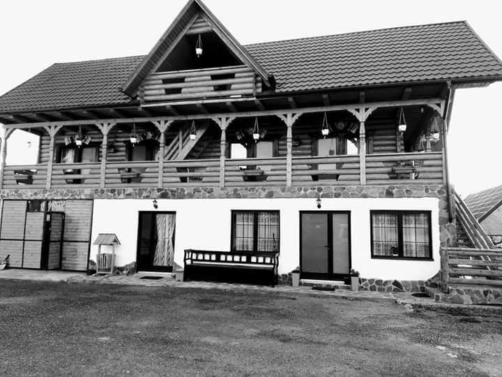 Pensiune Agroturistica "Casa Teodora" Budesti  Luaran gambar