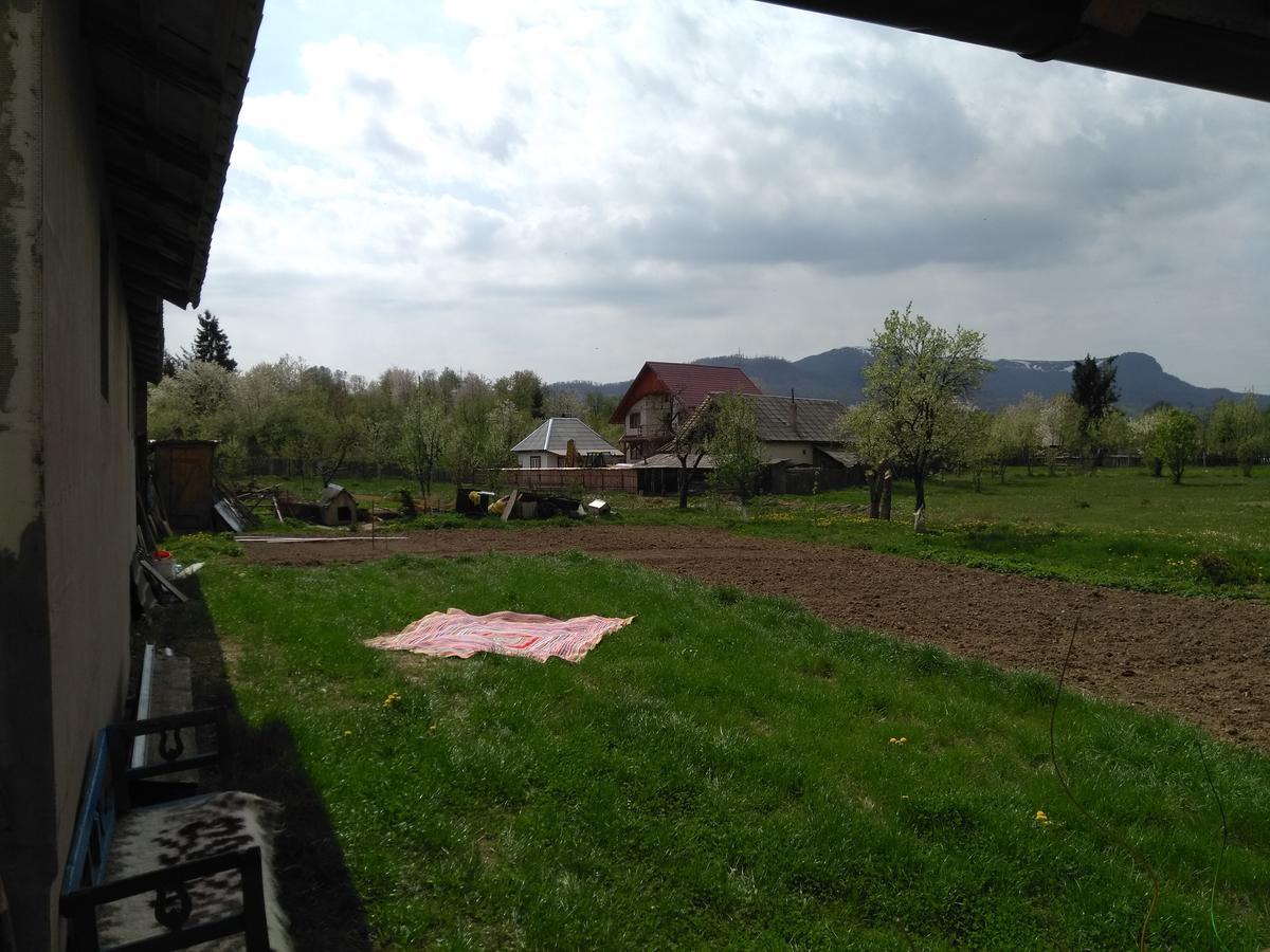 Pensiune Agroturistica "Casa Teodora" Budesti  Luaran gambar