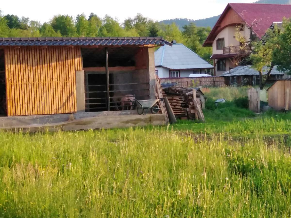Pensiune Agroturistica "Casa Teodora" Budesti  Luaran gambar